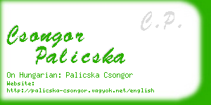 csongor palicska business card